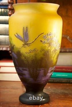 A Fine Art Nouveau Style Cameo Glass Hand-blown European Vase Embossed Galle