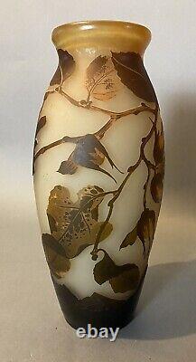 Antique French Victorian Cameo Art Glass 12 Vase With Flowering Branches