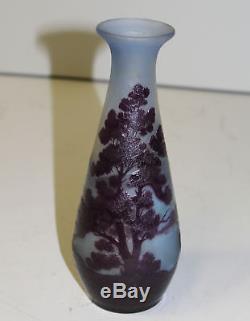 Antique Galle Signed Cameo Art Glass Nature Decorated Vase