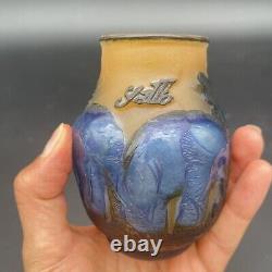 Antique Rare Detailed Early Emile Gallé Fuchsia Vase 1900 Cameo Signed Elephant