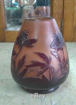 Antique Vase signed glasses Cameo E. Galle