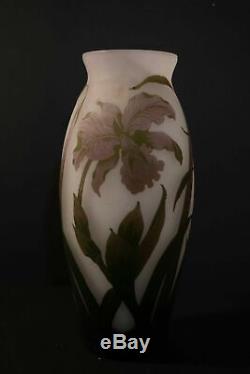 Arsall signed, French cameo glass vase, monumental size c. 1920