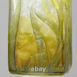 Art Nouveau Cameo Glass'Iris Flower Vase' by Daum Freres