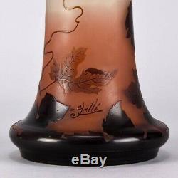 Art Nouveau French Cameo Glass Vase Fruiting Vines by Emile Galle