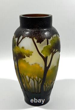 Beautiful Galle / Nancy Daum Style Vintage Art Nouveau Cameo Landscape Glass Vas