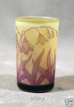 Beautifull Cameo Glass Cup signed D. Argenthal