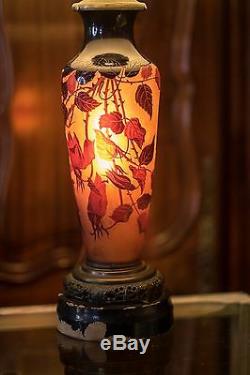 DArgental French Cameo Art Glass Lamp With Hibiscus Flowers by Paul Nicolas