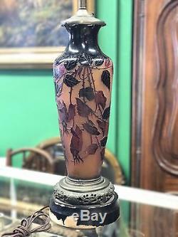 DArgental French Cameo Art Glass Lamp With Hibiscus Flowers by Paul Nicolas