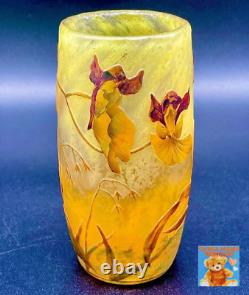 Daum Nancy Oncidium Pattern Flower Vase Enamel Cameo Glass Art Genuine Galle JP