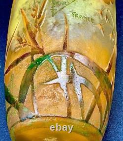Daum Nancy Oncidium Pattern Flower Vase Enamel Cameo Glass Art Genuine Galle JP