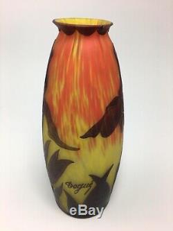 Deque French Cameo Vase Iris With Awesome Colors