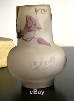 EMILE GALLÉ (1846-1904) Cameo vase. Emile Galle. Art Nouveau