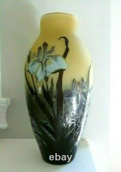 Elegant Emile Galle 5 Color Iris & Dragonfly Cameo Vase France 1920-1925