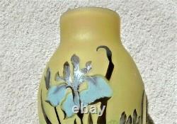 Elegant Emile Galle 5 Color Iris & Dragonfly Cameo Vase France 1920-1925
