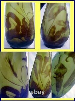 Emile Galle Cameo Glass Vase Calla Lily Superb Antique French Art Glass (3294)