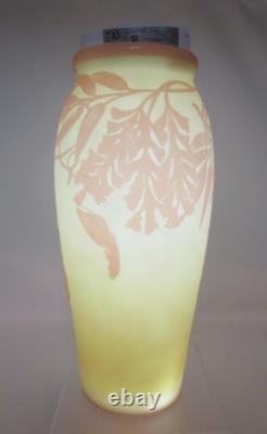 Fenton Kelsey Murphy Cameo Burmese Wisteria Lane Hummingbird Vase LIMITED