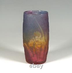 France Daum Nancy Frères Art Nouveau Cameo Vase Rainbow Color Iris Decor 1890