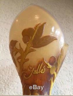 French Antique Galle' fire polished thistles berries solifleur cameo vase 14.5