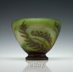 French Galle Cameo'Fougeres' Vase c1900