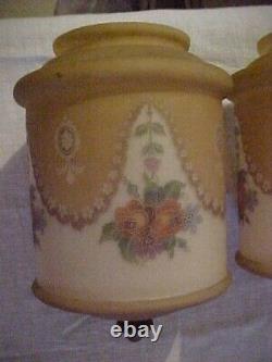 GREAT Pair Signed BELLOVA Czech Deep Cameo Etched Art Glass Lamp Shades Multi Co