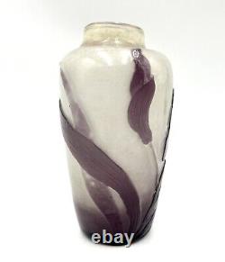 Gallé Acid Etched Art Nouveau Cameo Glass Vase Botanical Flower Design Galle