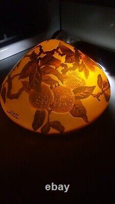 Gally Cameo Glass Lamp Dome Enclosed Shade
