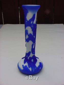 Kelsey Murphy Pilgrim Glass 2 Layer Cameo Glass Vase