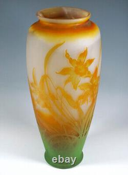 Large Emile Galle Nancy France Cameo Vase Daffodils Height 18 1/8in Um 1904