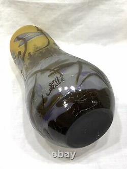 Possible Galle Cameo Art Glass Vase, Dragonfly Iris Over Pond Signed, 12 Tall