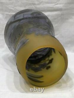 Possible Galle Cameo Art Glass Vase, Dragonfly Iris Over Pond Signed, 12 Tall