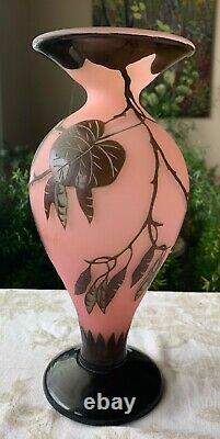 Remarkable 1920 Art Nouveau etched cameo glass vase signed by Richard