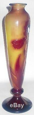 Superb Large Original Galle Cameo Glass Footed Vase withLife Size Iris Ca. 1890