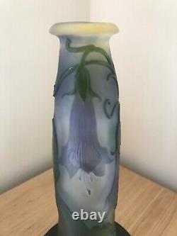 Superb Late 19th Century Emile Galle' Signed Art Nouveau Floral Cameo Glass Vase