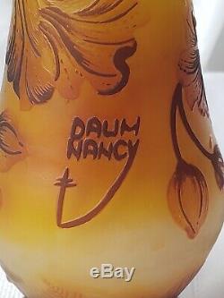 Vase Cameo Decorative Glass signed Daum Nancy Art Nouveau 12